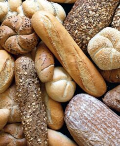 Jak kvasinky určily vývoj lidstva aneb proč jsme tím, čím jsme