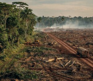 Vliv EUDR na potravinářský průmysl po poslední novelizaci